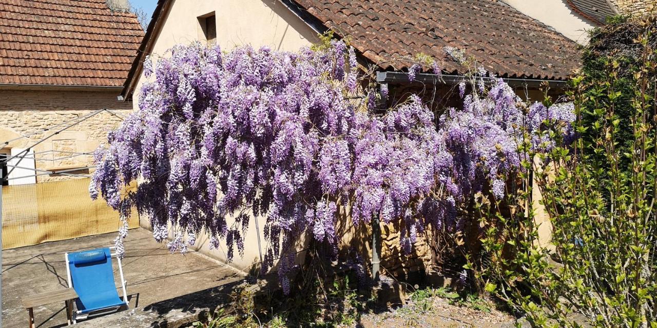 Gite Du Bouyssou Carsac-Aillac Экстерьер фото