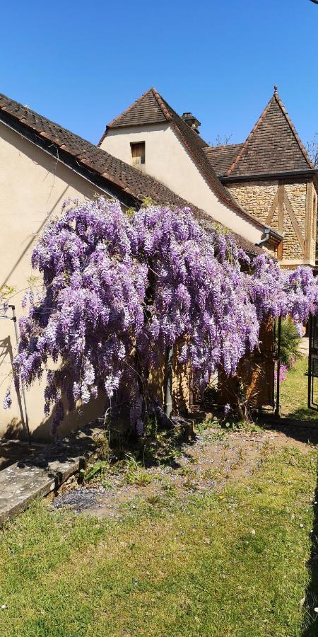 Gite Du Bouyssou Carsac-Aillac Экстерьер фото